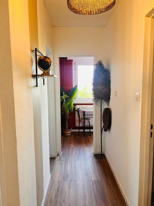 Cosy Appartement *